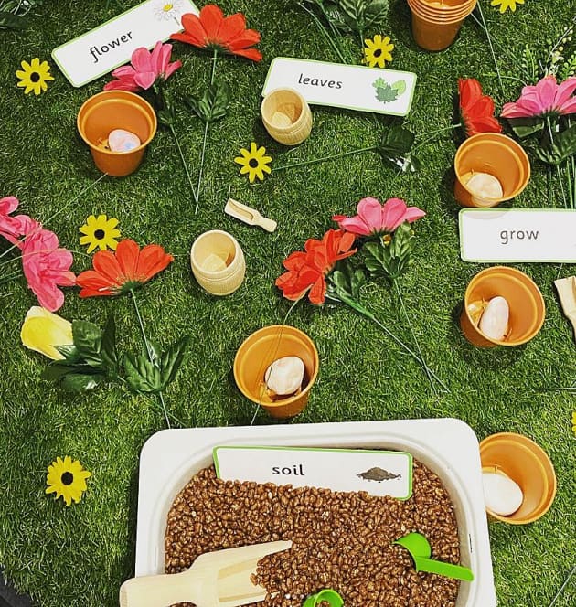 Sprouting Curiosity: Food Garden 1